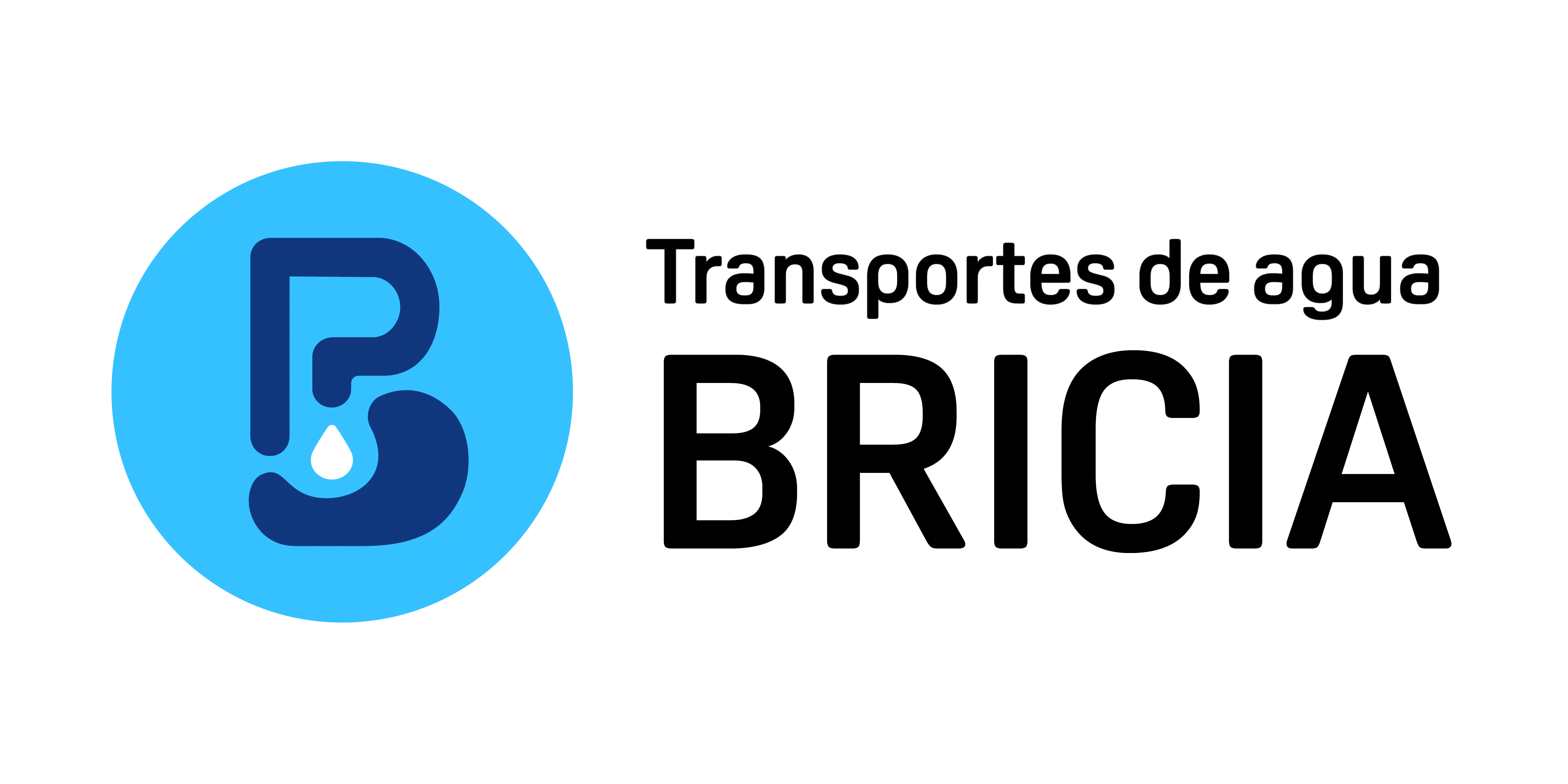 Transportes Bricia Logo