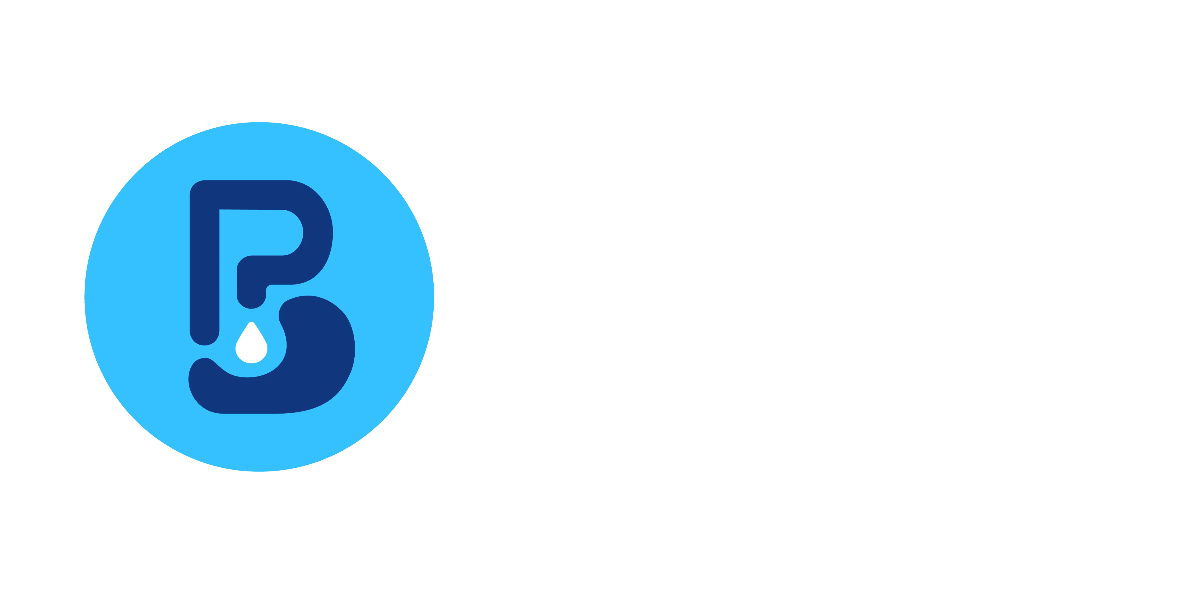 Transportes Bricia Logo